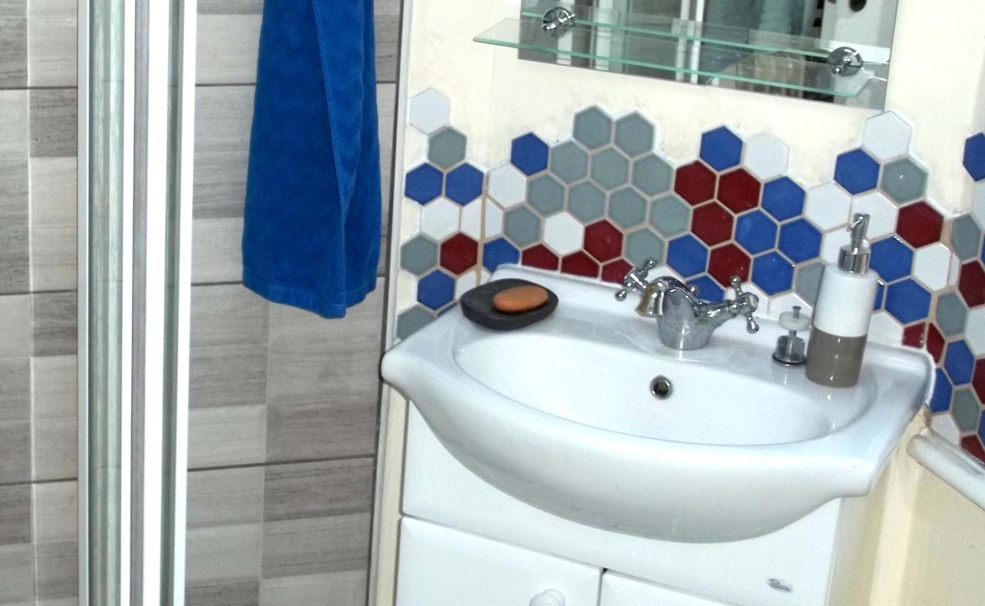 Deluxe Double Room Shower