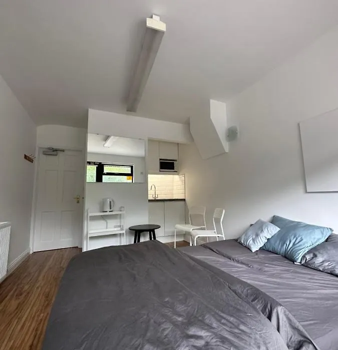 Santry Studio-1