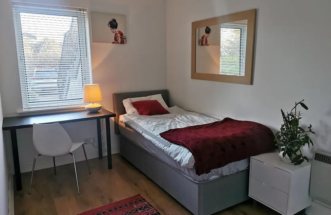 Single Room In A Charming Apartment With The Terrace In Sandymount-1