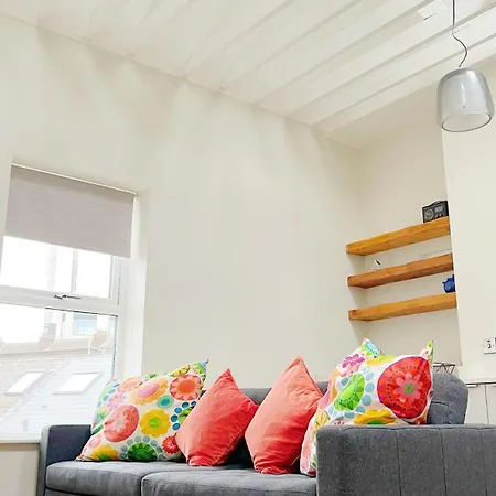 Stylish High Ceiling Home In South City Center-2
