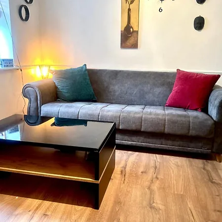 Guest Apartment-3