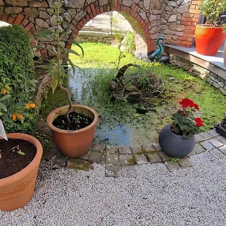 Hideaway Garden Paradise-3