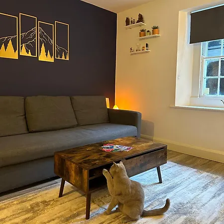 Entire Apartment In Dublin-3
