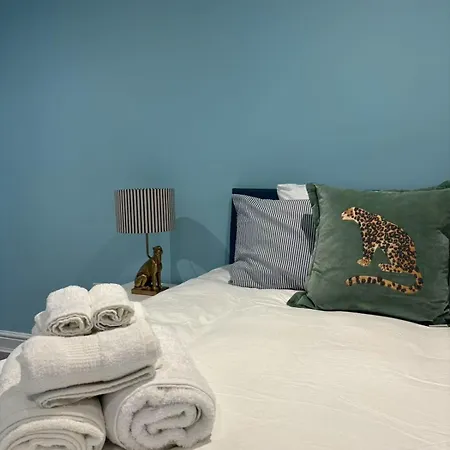 Mountjoy Spacious Private Apartment-3