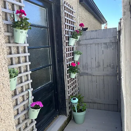 Guest Suite In Glenageary-2