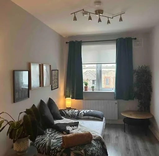 Central 1 Bedroom Apartment